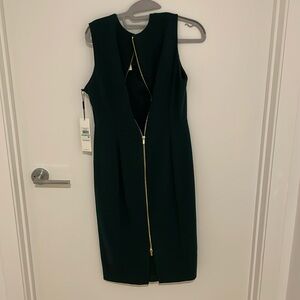 Colvin Klein Green Dress with gold zipper